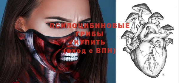 ALPHA-PVP Горнозаводск